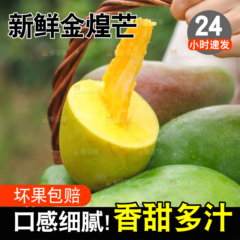 手里提着一篮金煌芒果