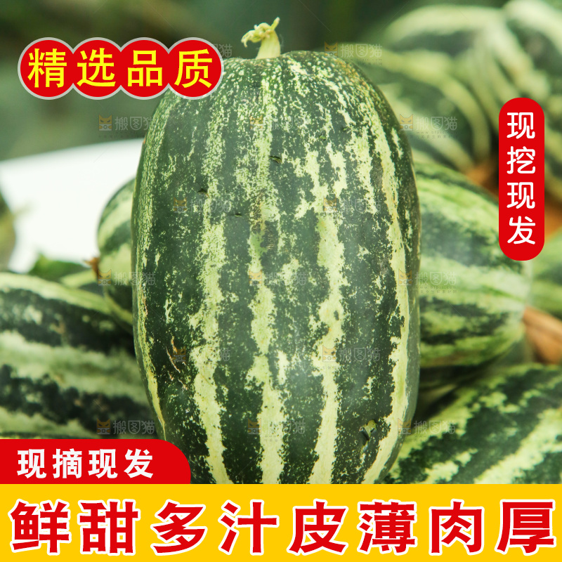 一篮博洋9号甜瓜