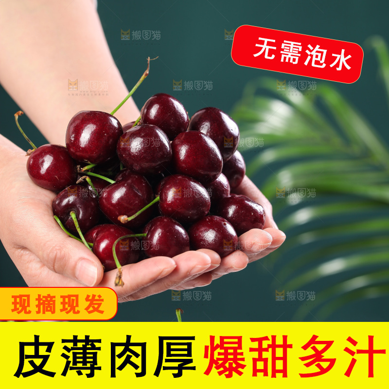 手里捧着美早大樱桃