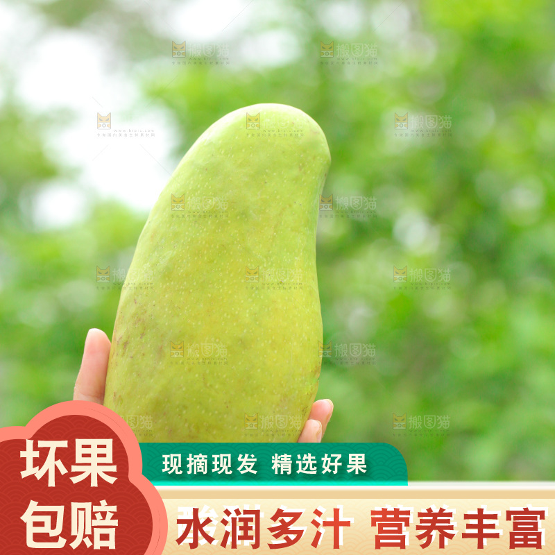 手里拿着金煌芒