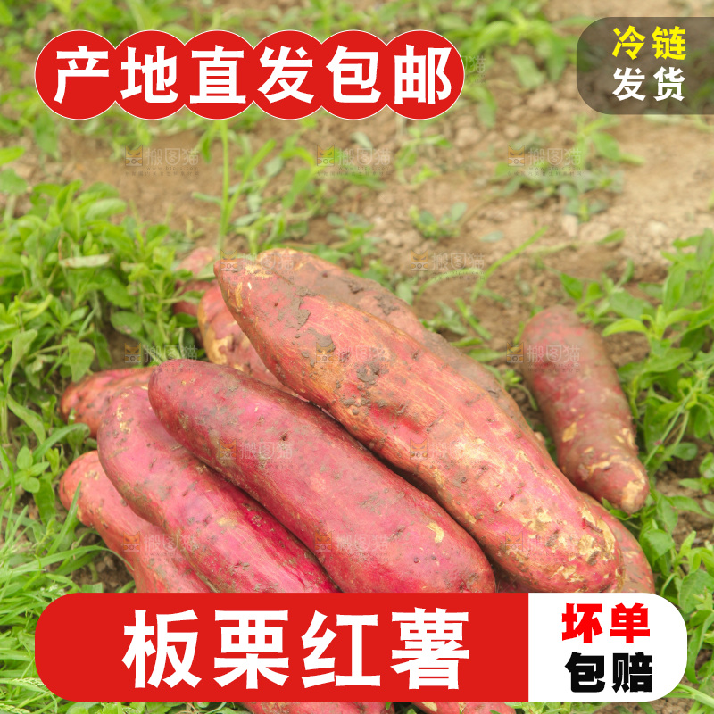 一堆新鲜板栗红薯