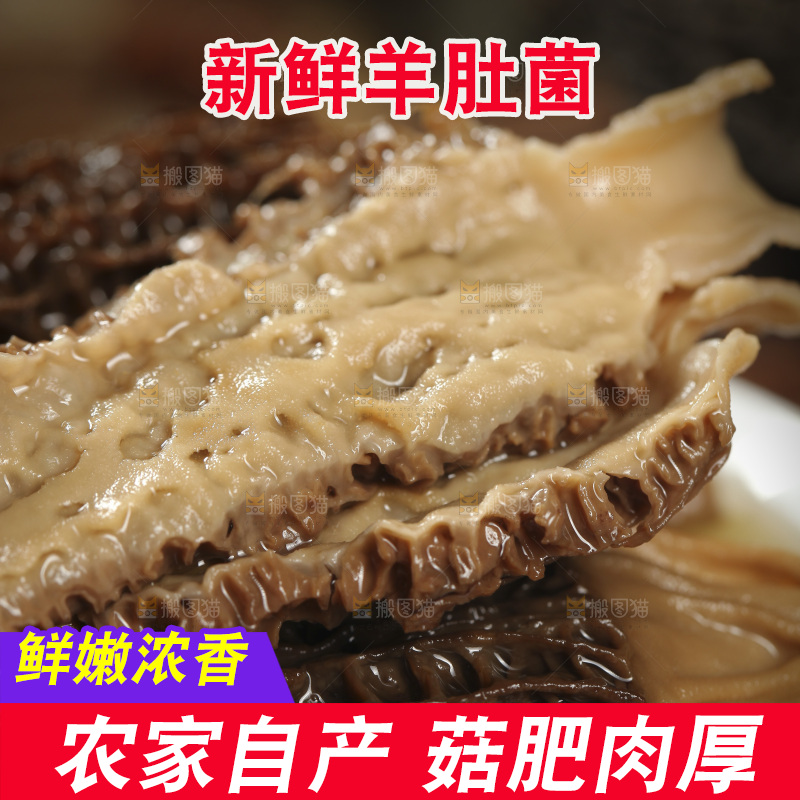 一盘泡发过的羊肚菌