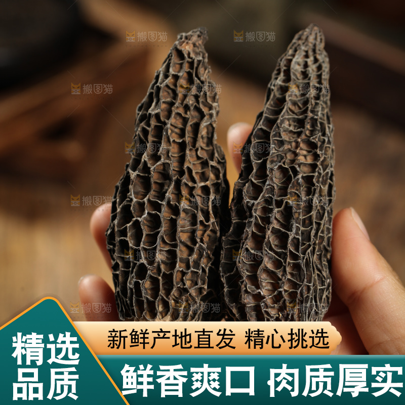 手里拿着云南羊肚菌