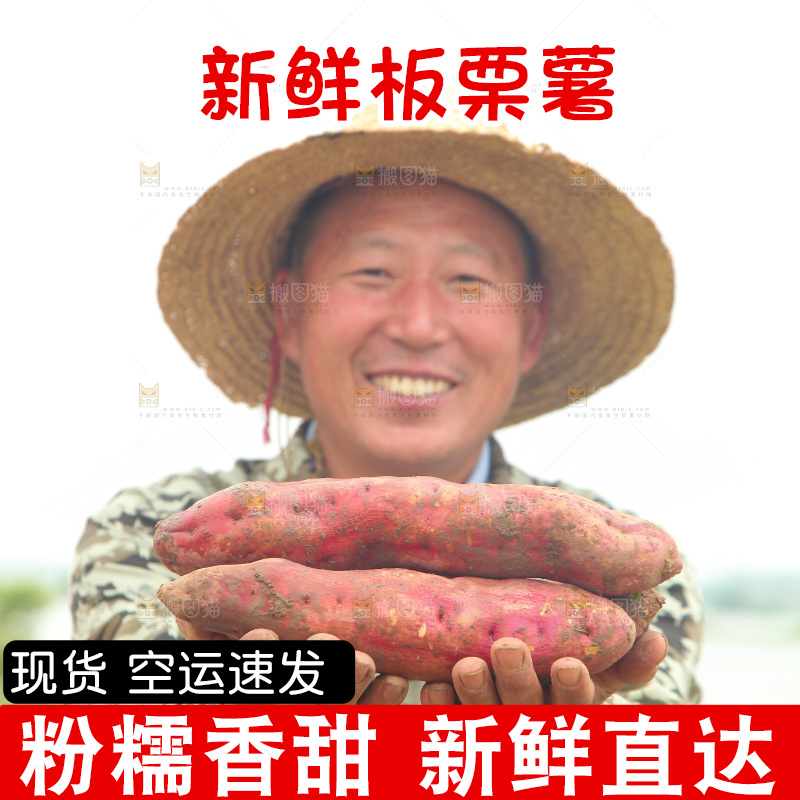 手里拿着板栗薯