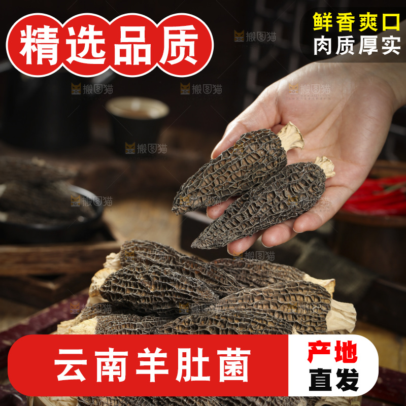 手里拿着羊肚菇