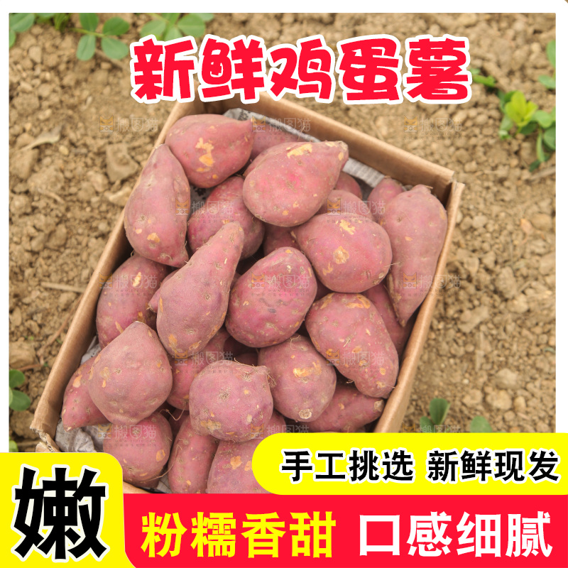 一箱鸡蛋薯