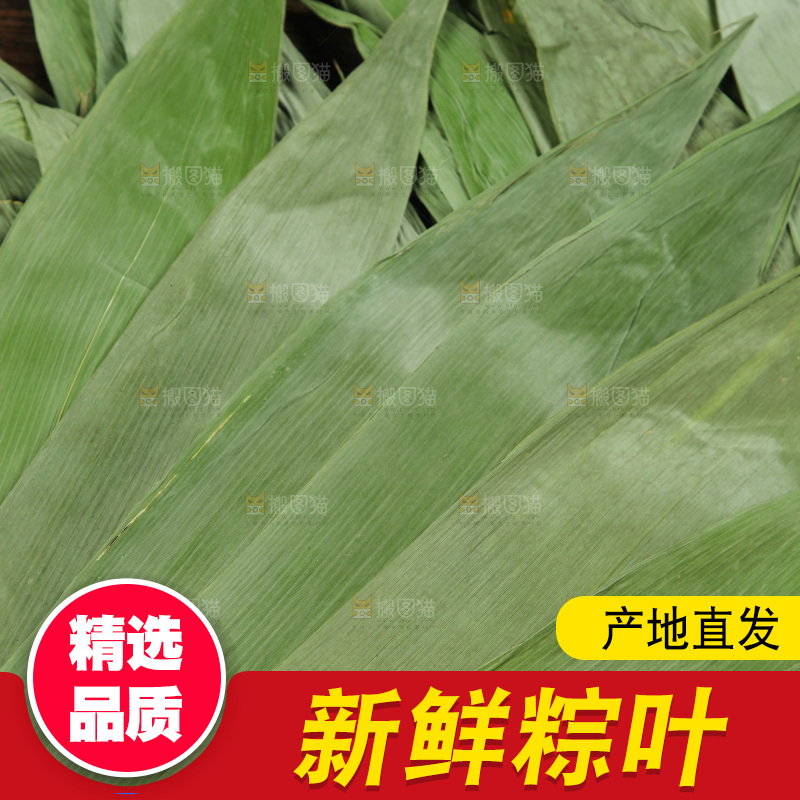 粽叶纹理