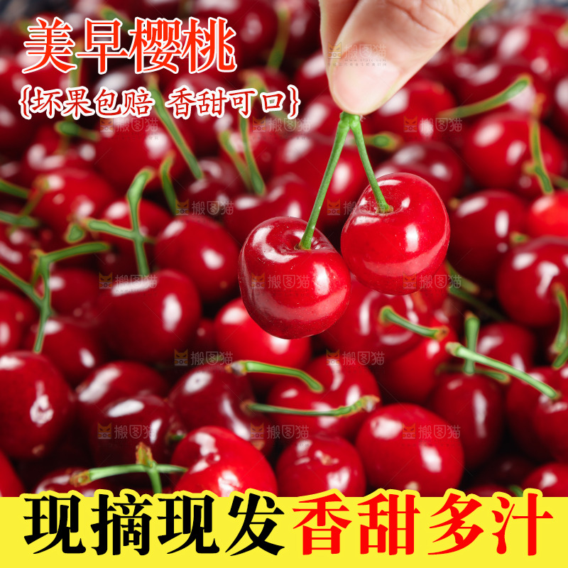 大樱桃纹理