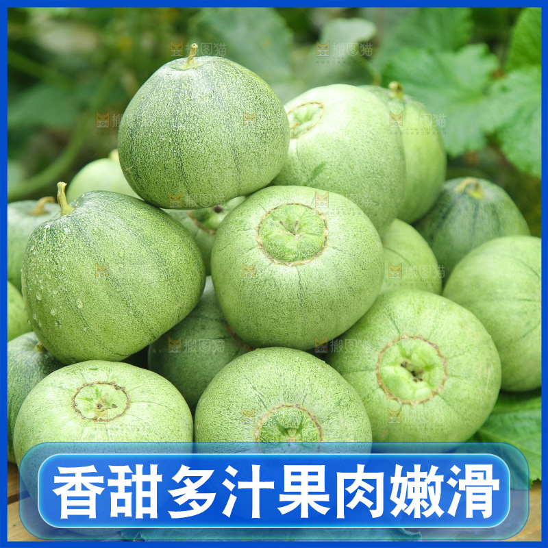 一堆绿宝甜瓜