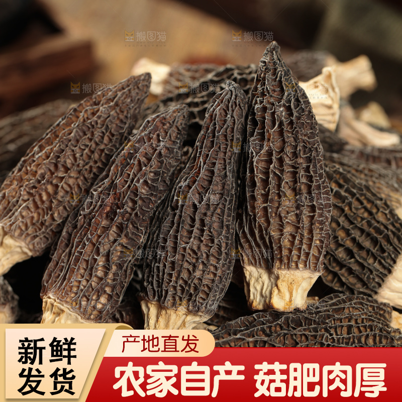 一篮干羊肚菌