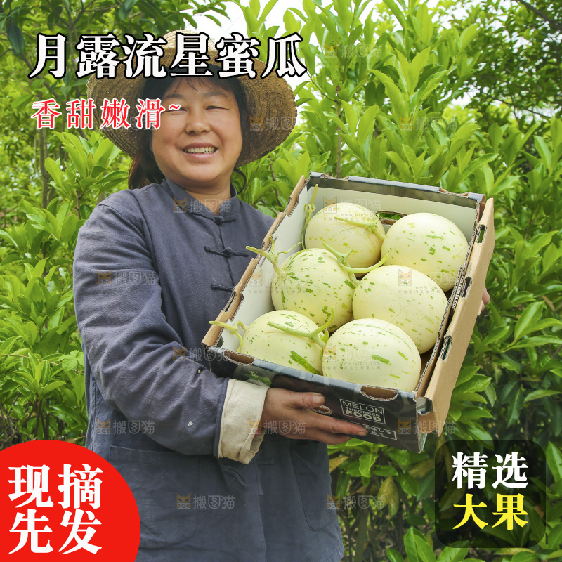 手里端着一箱月露流星蜜瓜