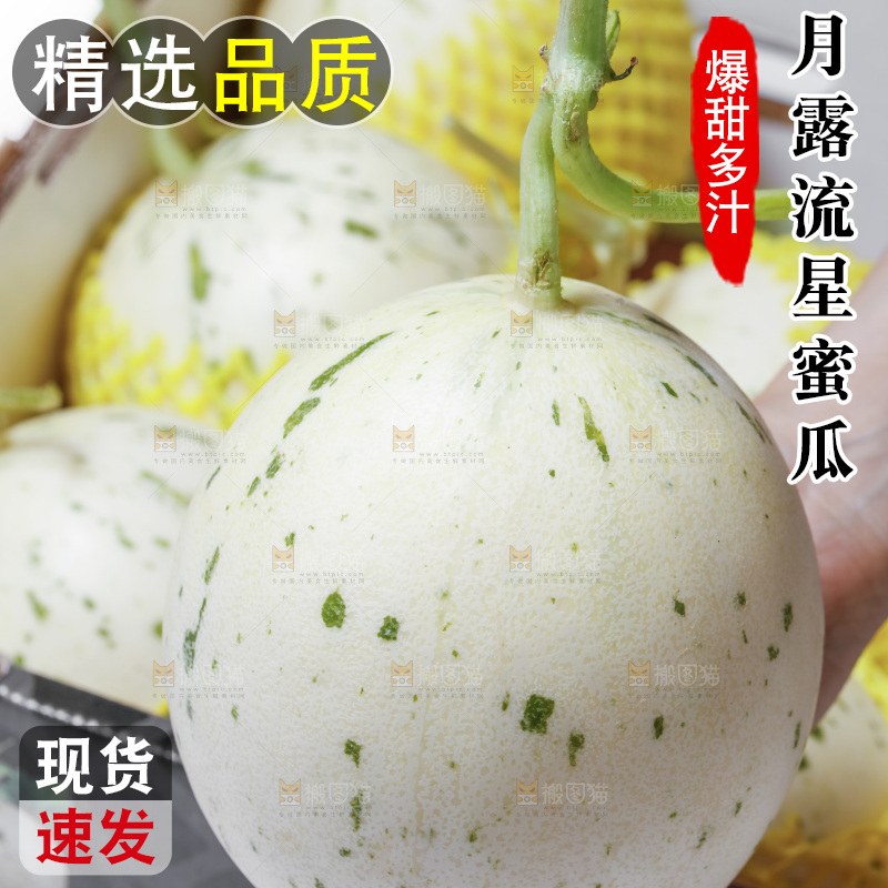 手里拿着月露流星蜜瓜