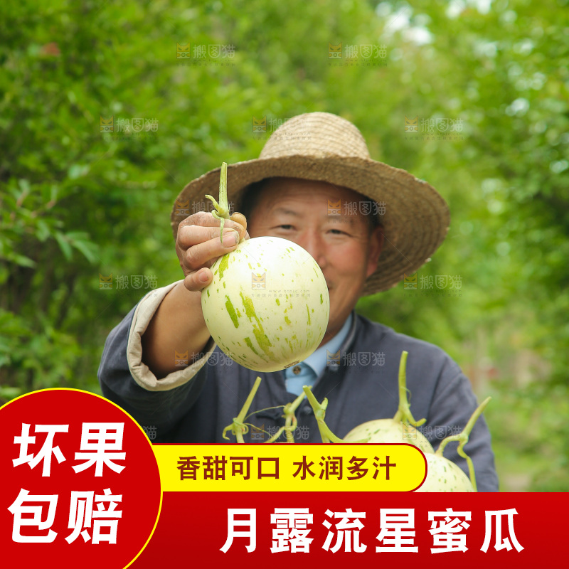 手里端着一篮流星蜜瓜