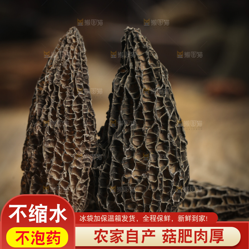 木底上放着有柄羊肚菌