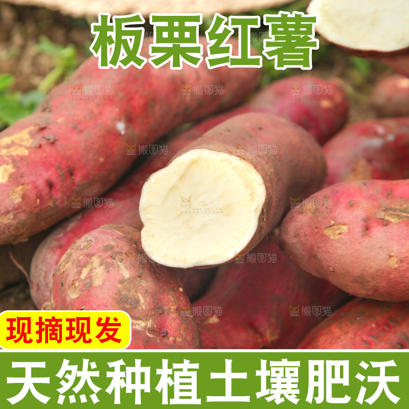 一堆板栗红薯