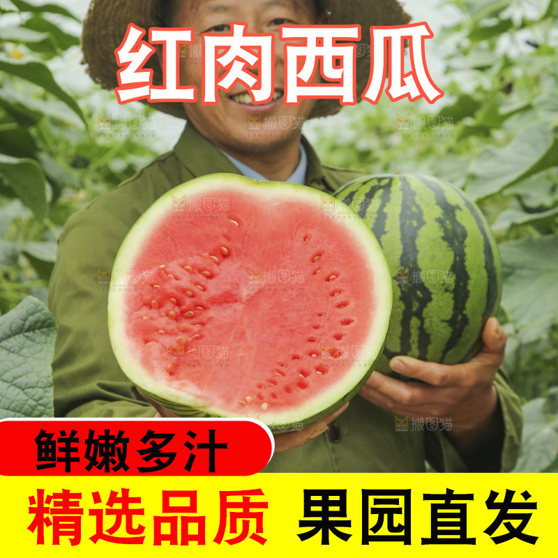 手里拿着切面的冰糖西瓜
