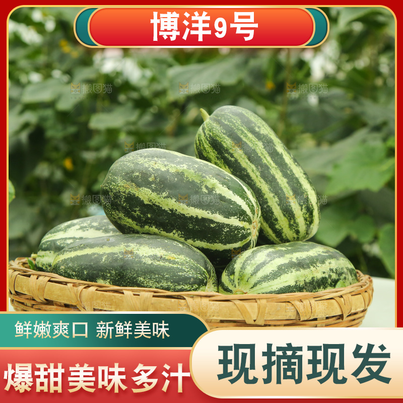桌子上放着一篮博洋9号