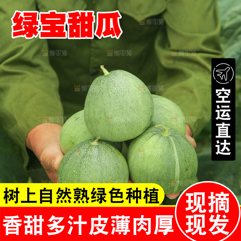 手里捧着绿宝甜瓜
