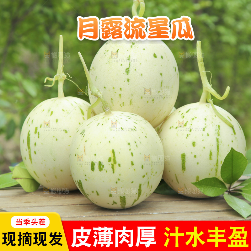 桌子上放着一堆月露流星瓜