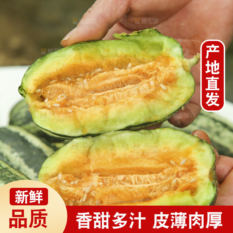 手里拿着博洋9号