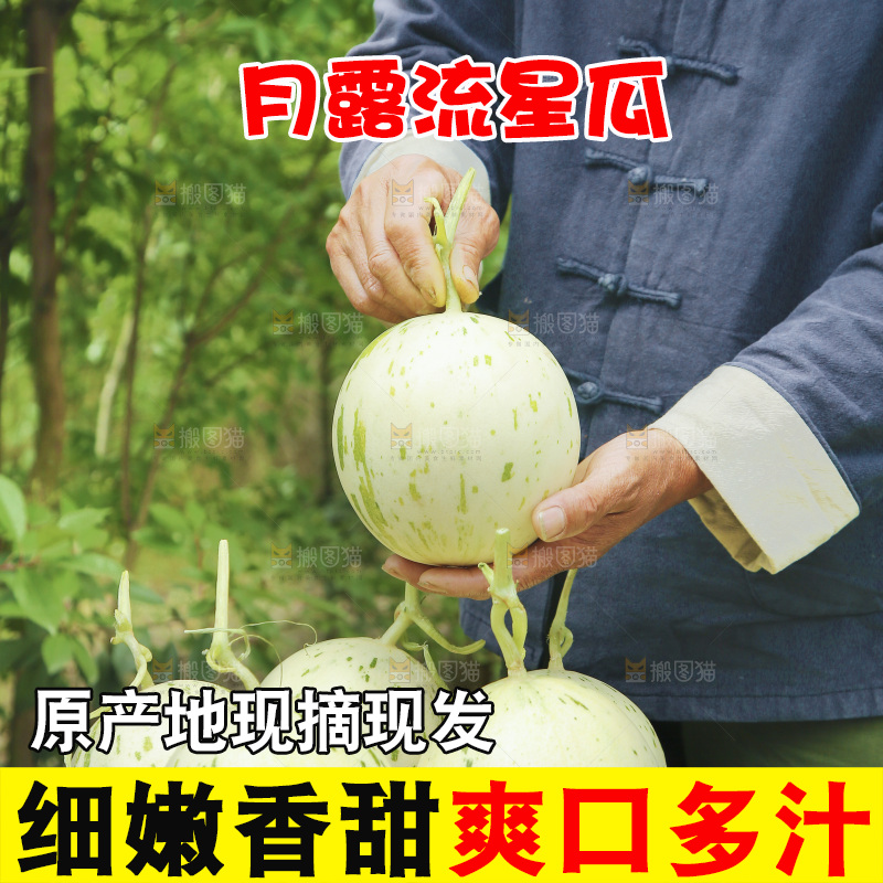 桌子上放着一篮月露流星瓜