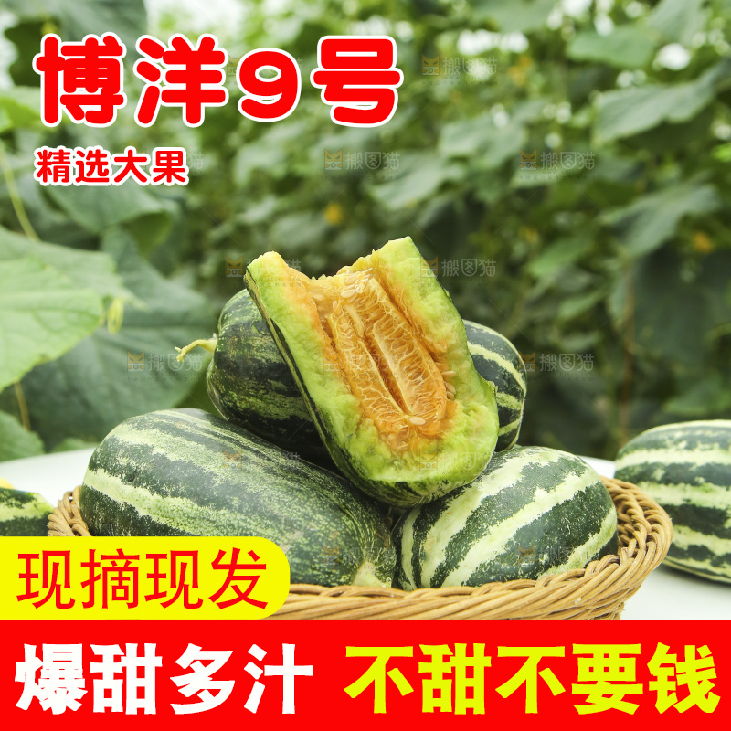 桌子上放着一篮博洋9号