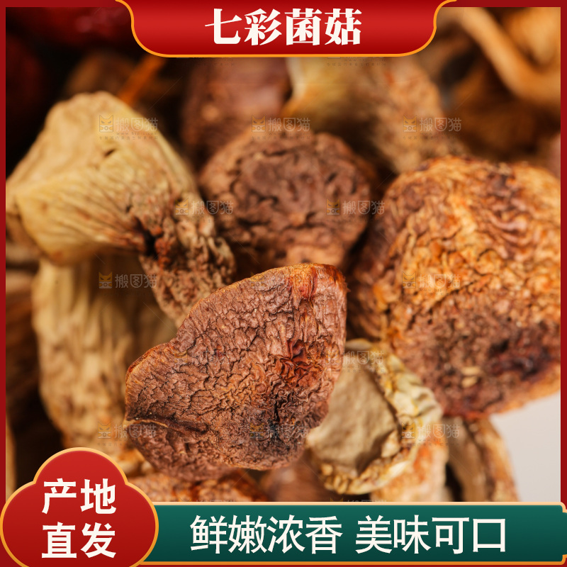 八珍菌菇食材姬松茸