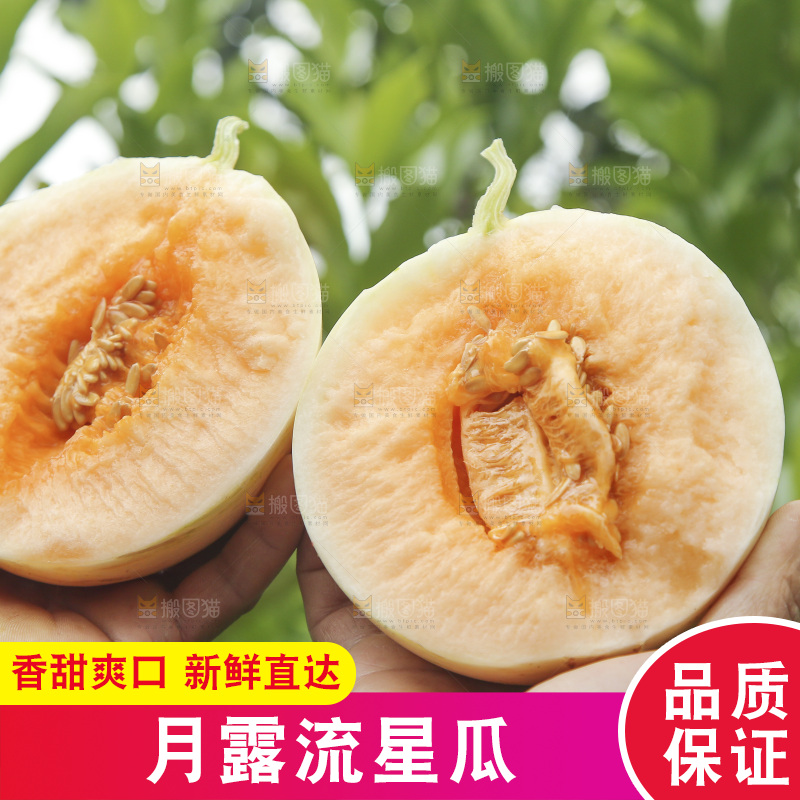 手里拿着红心流星蜜瓜对比