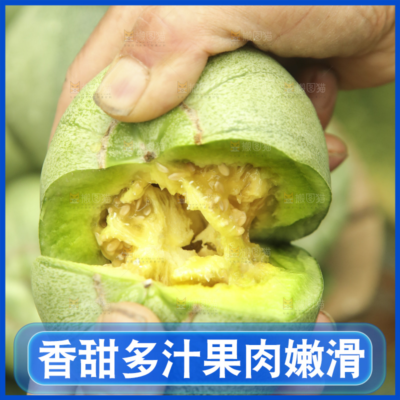手里掰着绿宝蜜瓜