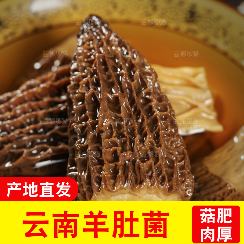 碗里泡着羊肚菌