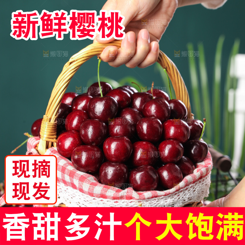 手里提着一篮新鲜大樱桃