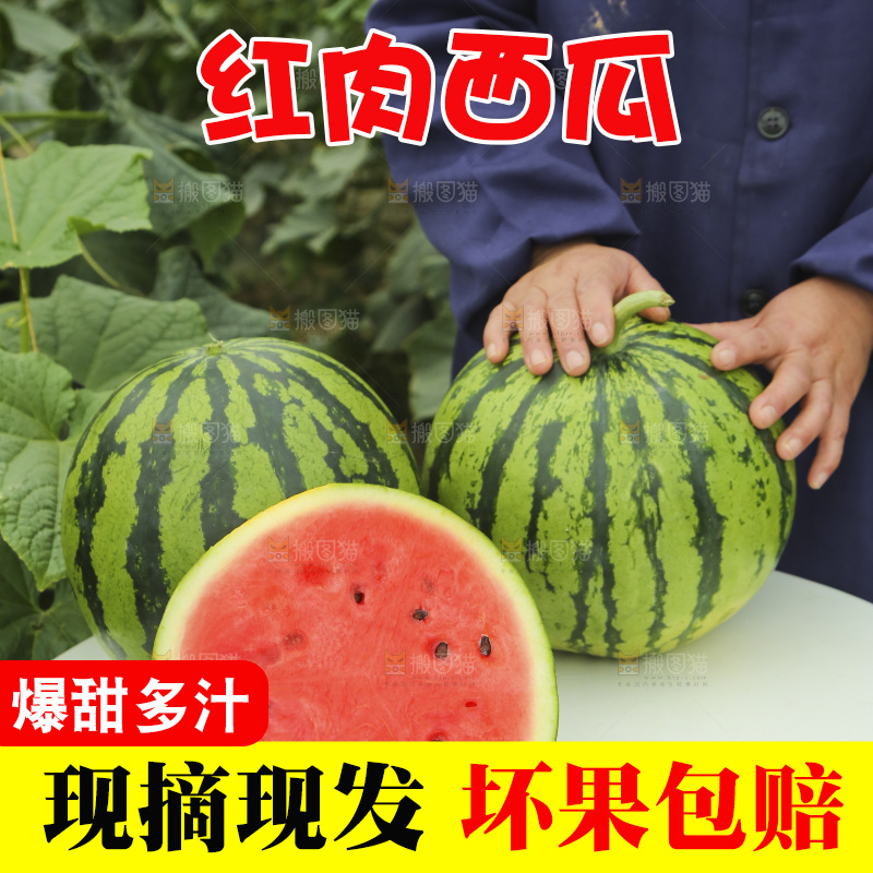 桌子上放着红心西瓜