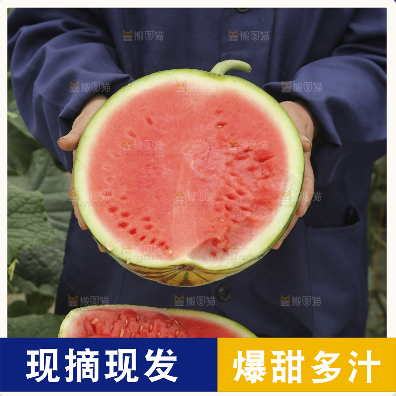 手里拿着半边切面的红心西瓜