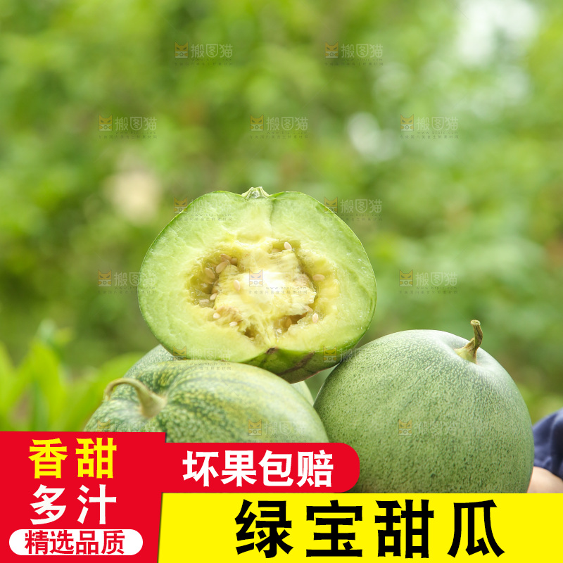 手里捧着绿宝甜瓜