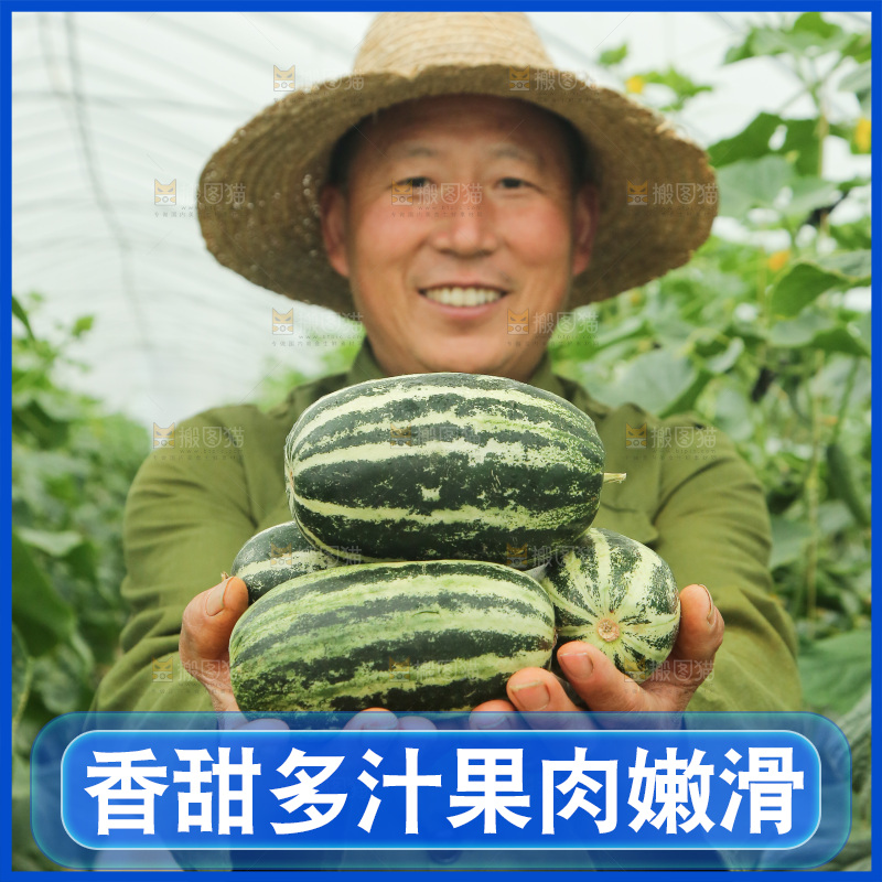 手里捧着博洋9号