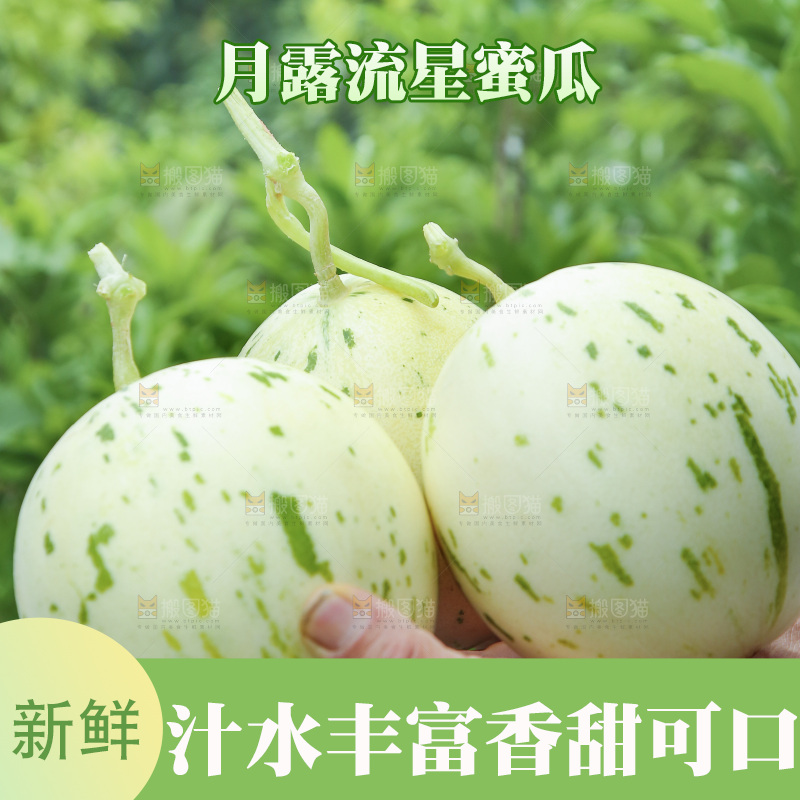 手里捧着月露流星蜜瓜