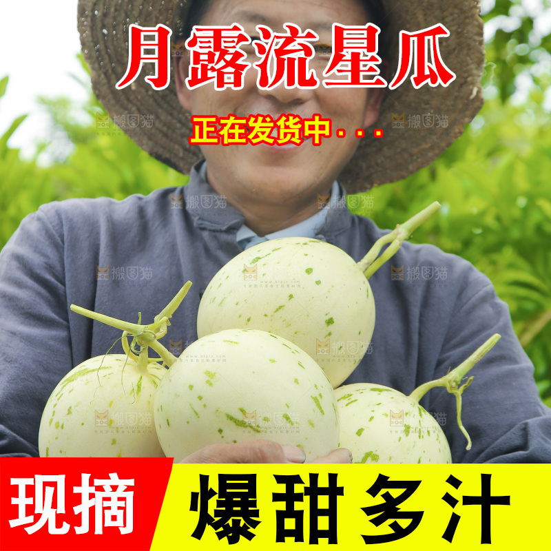手里抱着月露流星瓜