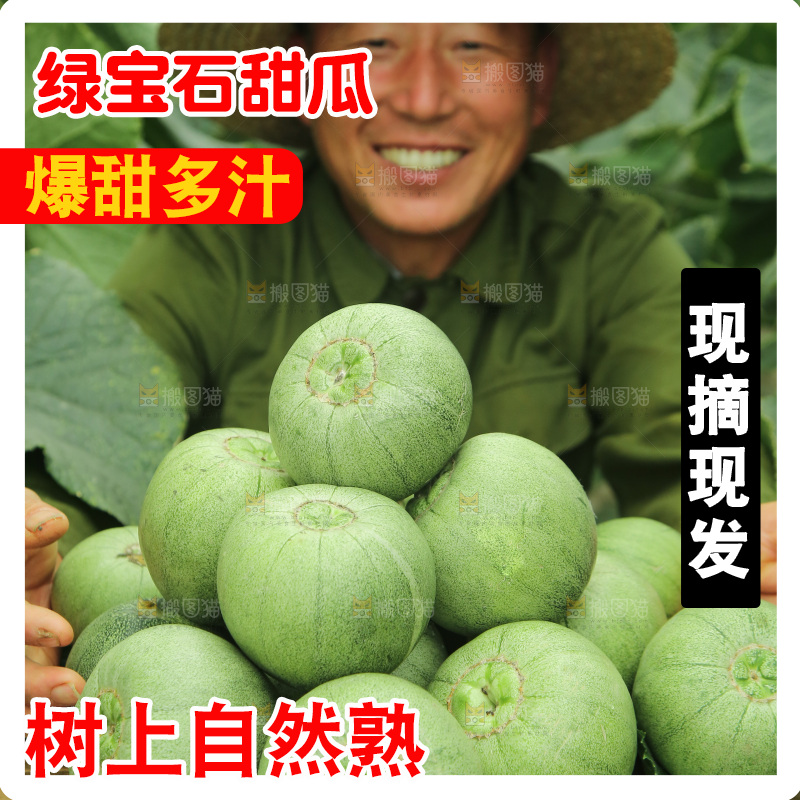 一堆绿宝甜瓜
