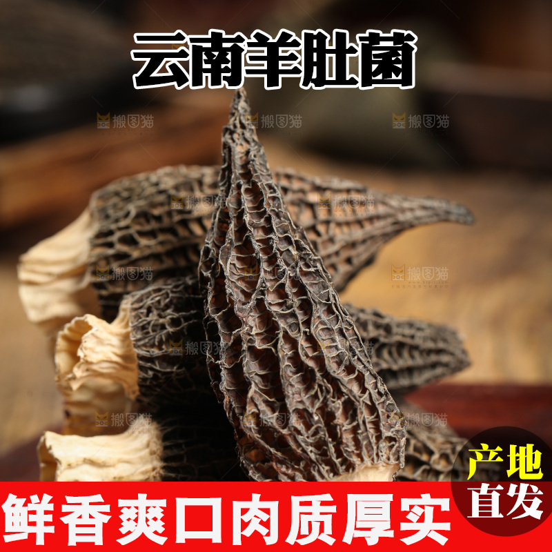 木底上摆放着羊肚菇