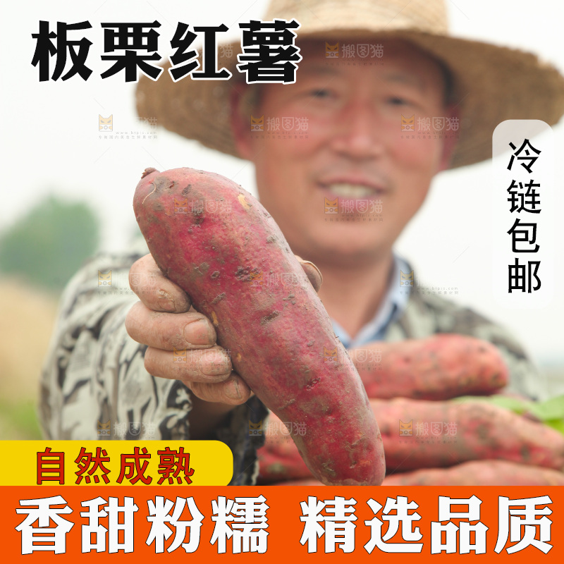 手里拿着板栗红薯