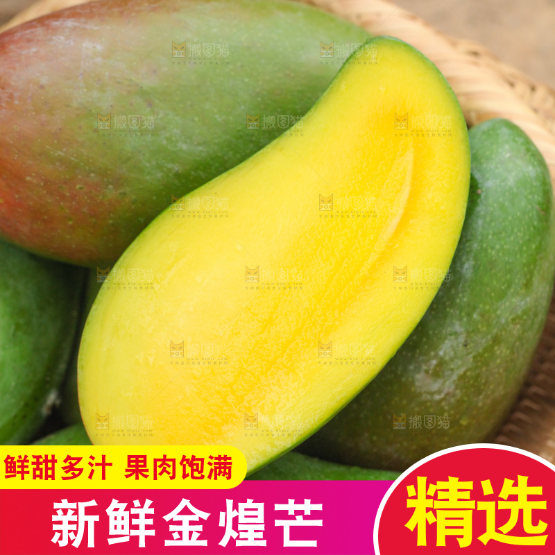 一篮金煌水仙芒