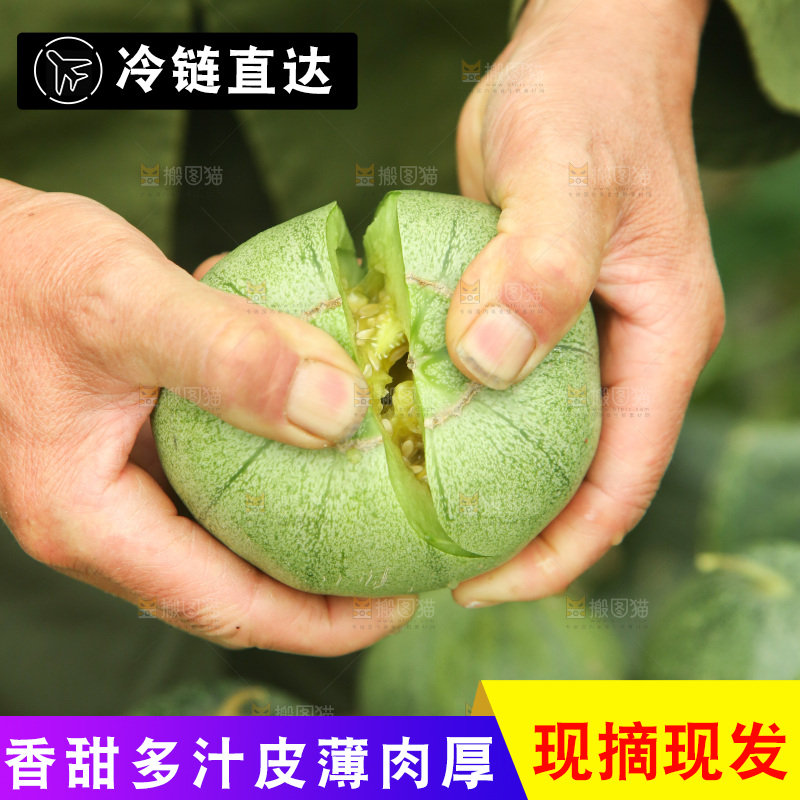 手里掰着绿宝蜜瓜