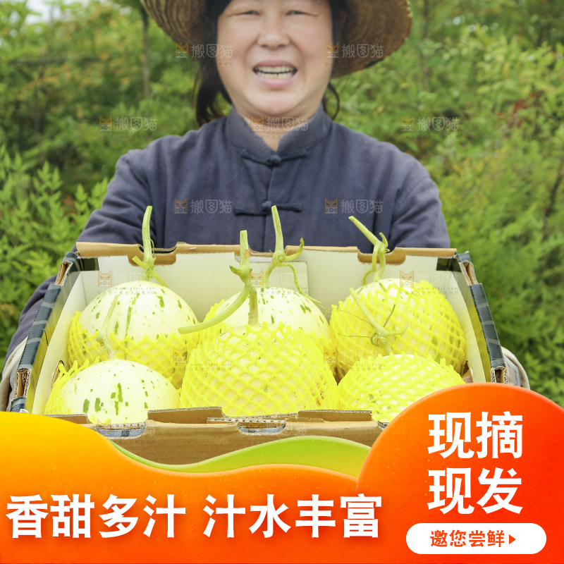 手里端着一箱月露流星蜜瓜