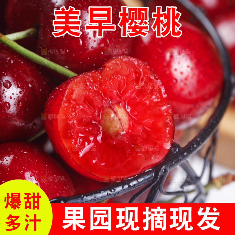 一篮美早大樱桃