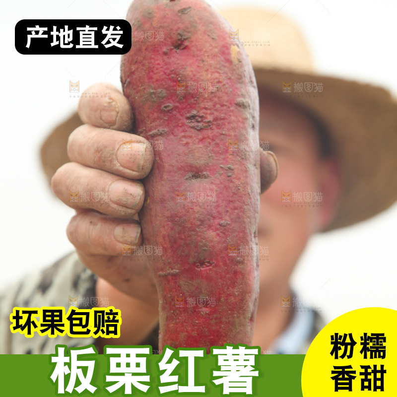 手里拿着板栗红薯