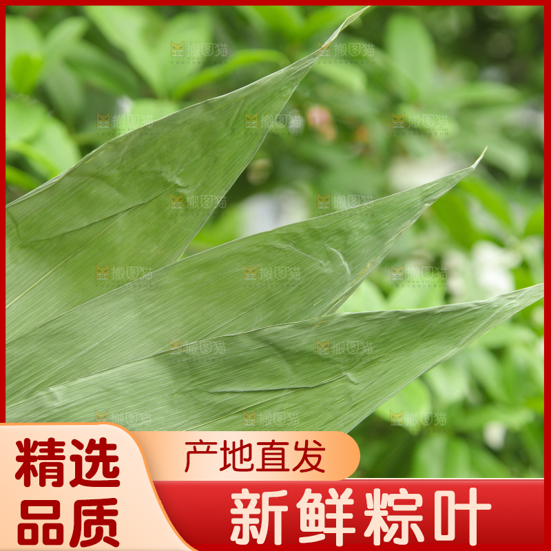 干粽叶子
