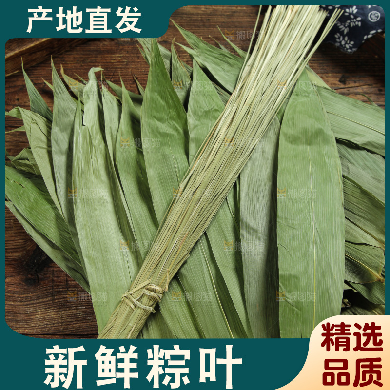 一堆干粽叶和粽绳