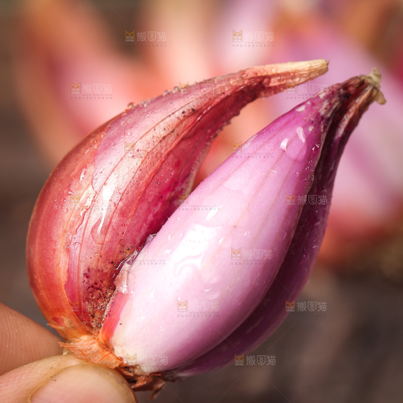 手里拿着葱头
