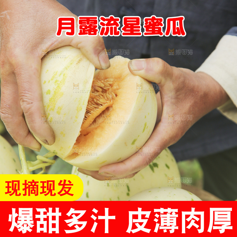 手里拿着红心月露流星蜜瓜
