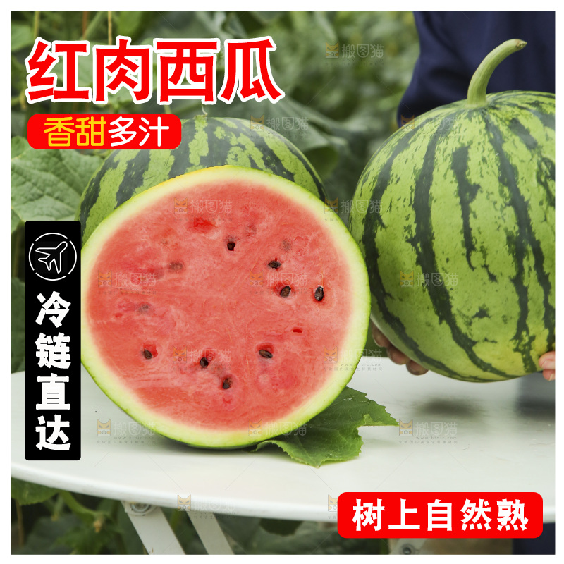 桌子上红肉西瓜